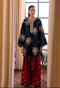 Embroidered Silk 2-Piece Suit | Heavy Sequence Work – Zurwa Clothing